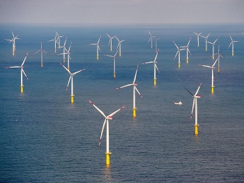 Total hợp tác với quỹ đầu tư của Úc trong các dự án điện gió ở Hàn Quốc
