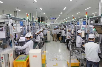 nguoi nuoc ngoai o at den viet nam kinh doanh chui bao lo de tron thue